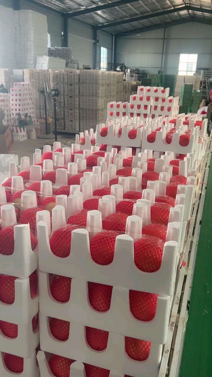 【一件代发】沂蒙黄毛蟠桃，现摘现发，品质售后都有保证，包邮。
