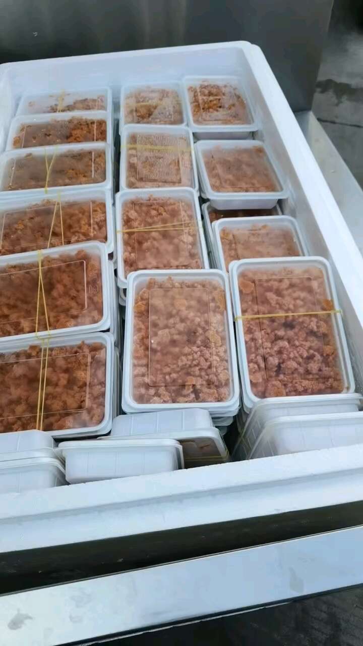 海胆