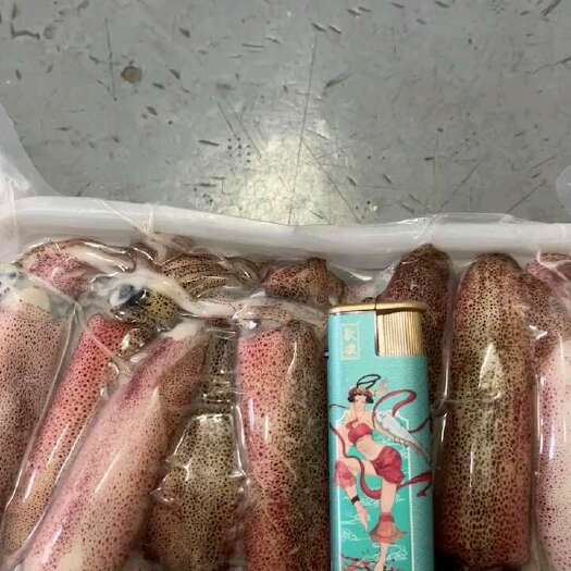 鱿鱼