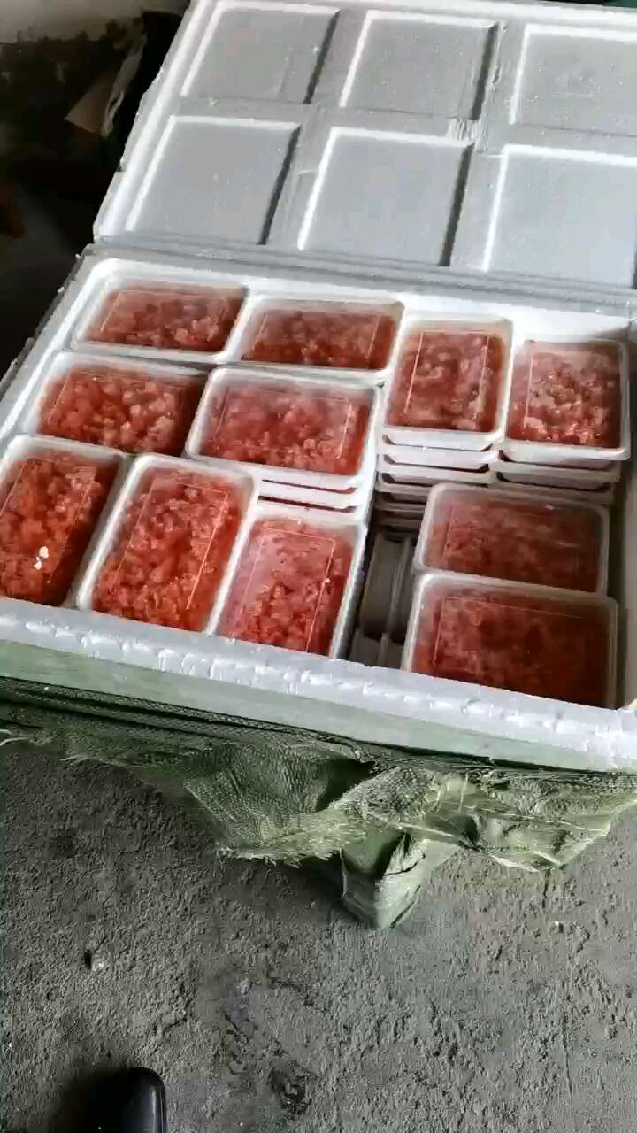 海胆