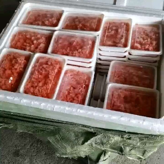 惠州海胆