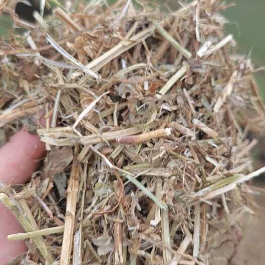 新野县花生秧压块大量供应