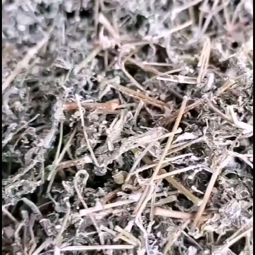 腾茶，（溪黄草，白茶，喇利茶)，本地农户纯手工制作