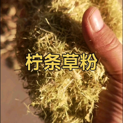 呼和浩特柠条草粉颗粒