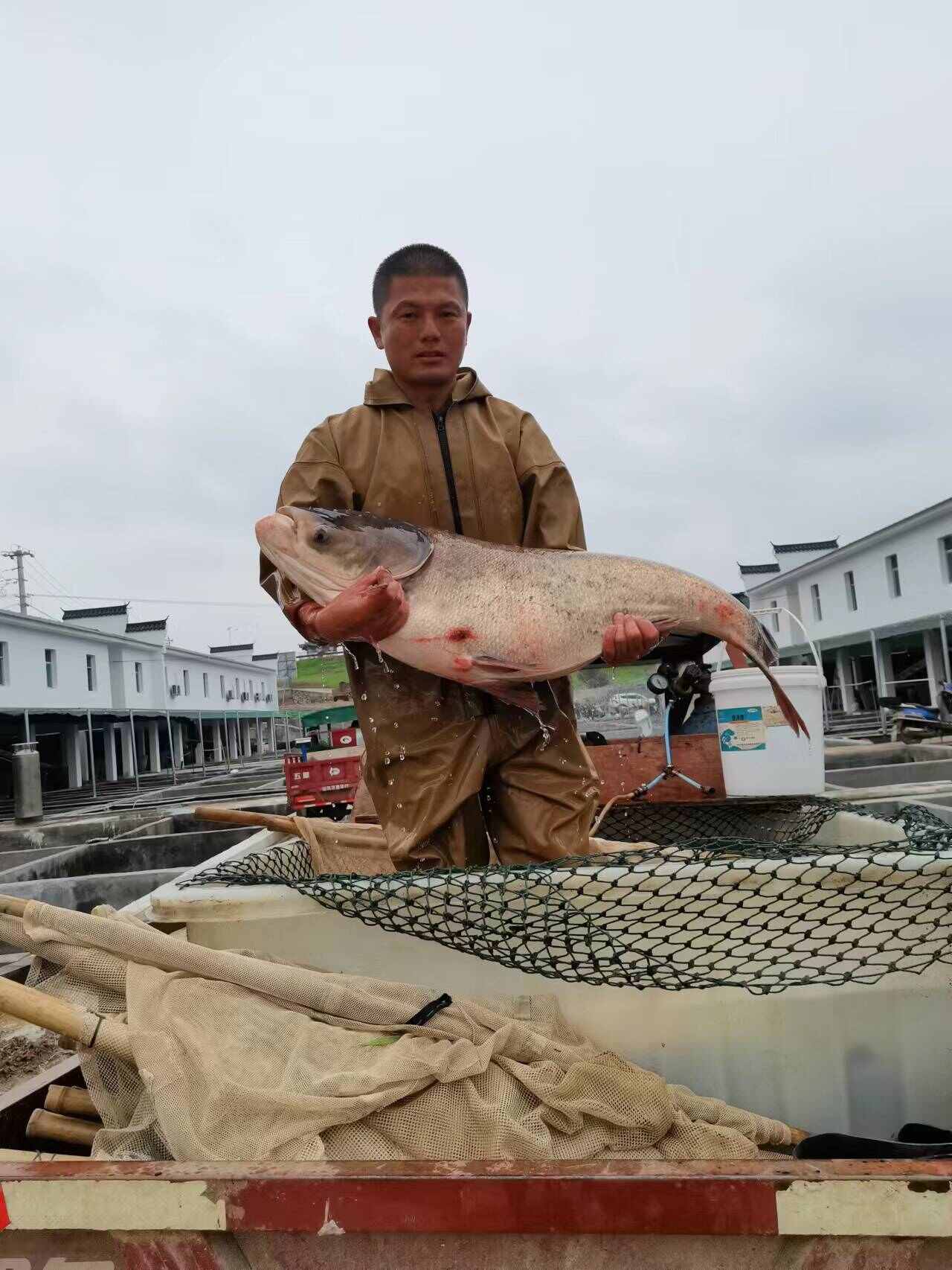 幸福飛魚苗孵化場