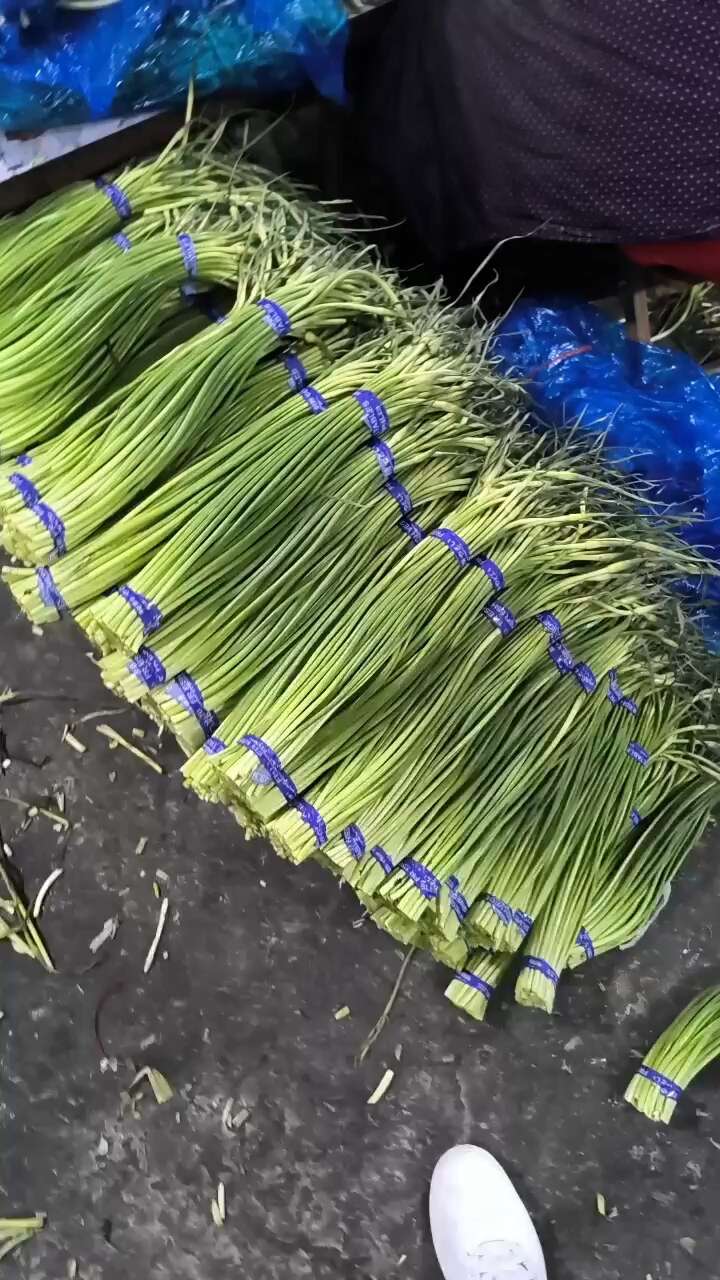 蒜薹