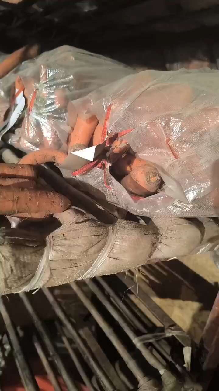 胡萝卜