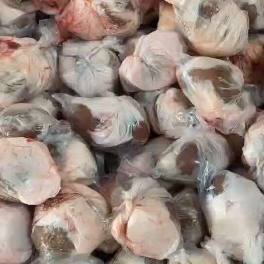 河间市原油羊腰
