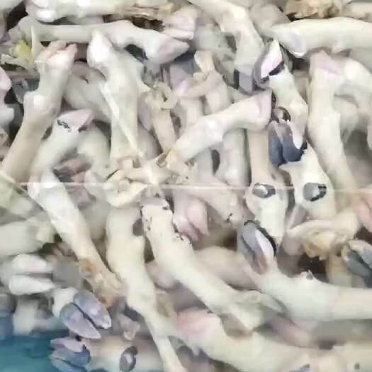 无棣县火烧羊蹄