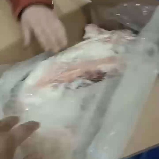 义乌市烤全羊