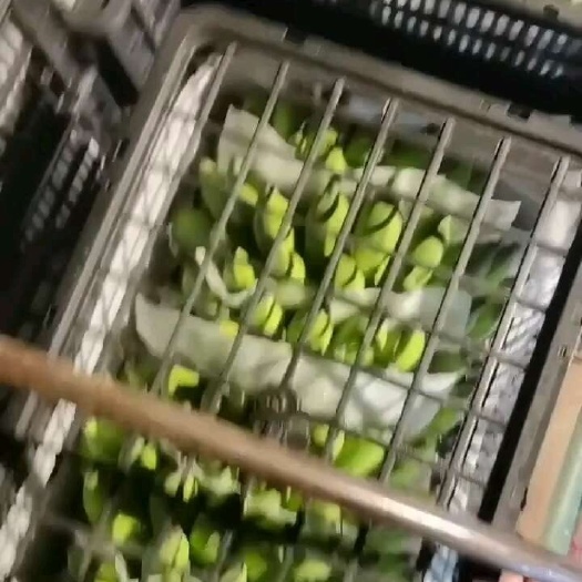 兴义市苹果蕉，西贡蕉需要的老板联系我呀