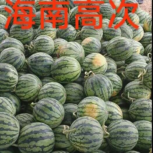 昌江县西瓜