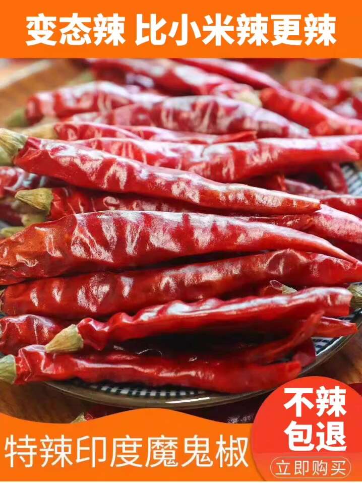 特辣小米椒印度椒魔鬼椒批发超辣椒魔鬼辣椒