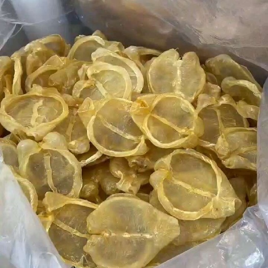 黄花胶片，足干肉厚腥味低孕期滋补品
