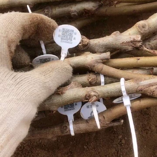 武陟县108