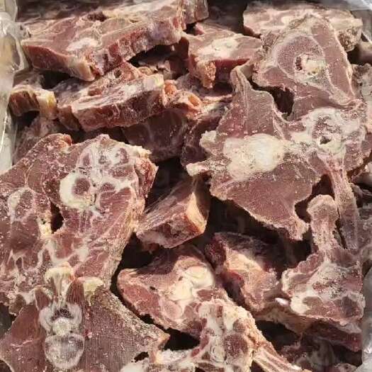 临沂内蒙多肉羊蝎子