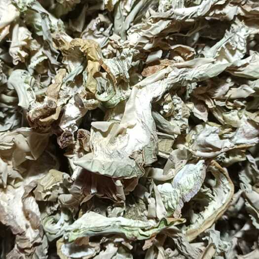 博爱县仙人掌干片仙人掌茶仙人掌粉