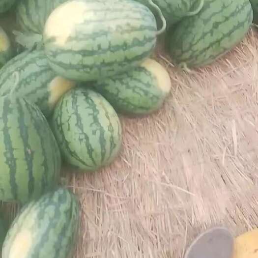 西瓜