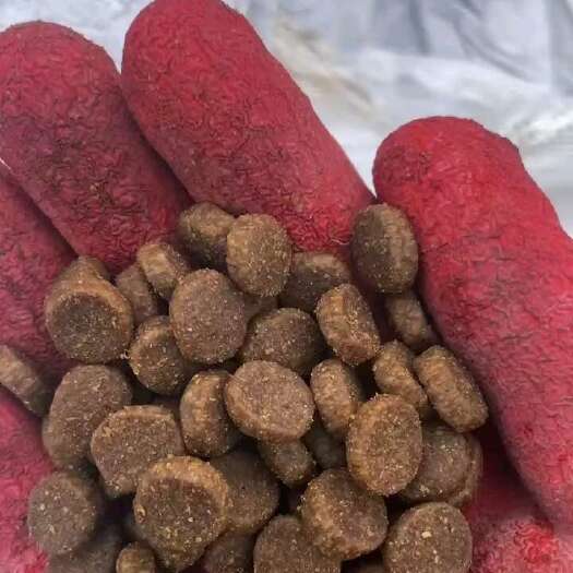 邢台渴望拆包狗粮19吨   8000一吨