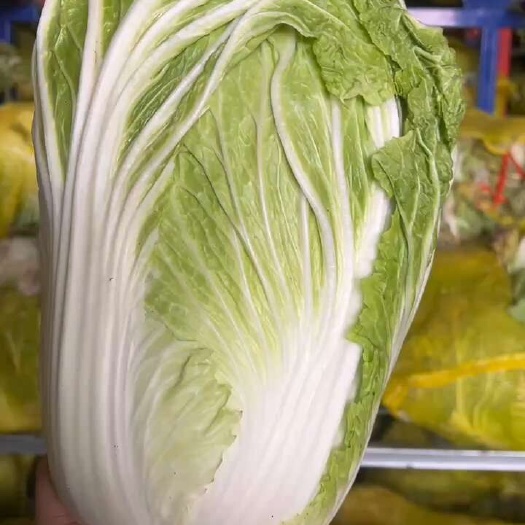 尉氏县青杂，大量有货，价格便宜，用的联系