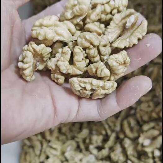 汾阳市新疆185核桃仁尖白