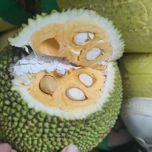 凭祥市越南红肉菠萝蜜