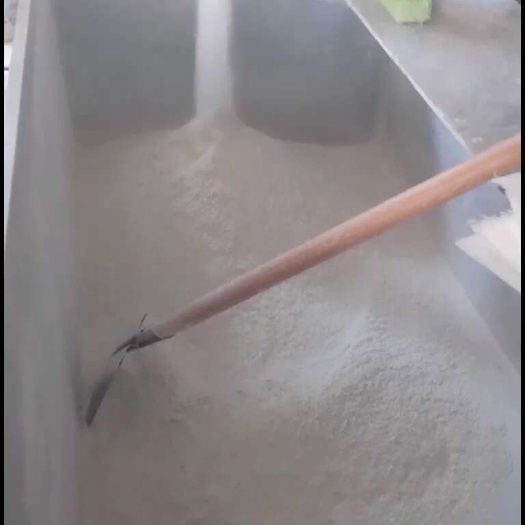 巴林左旗甜荞
