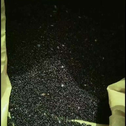 小叶红皮千斤拔