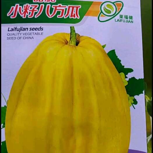 祁阳市甜脆小籽八方瓜种子籽果肉厚脆甜多汁味香甜八棱瓜