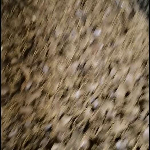 棉籽饼是经过高温消毒挤压而成，它高含有机质和微量元素