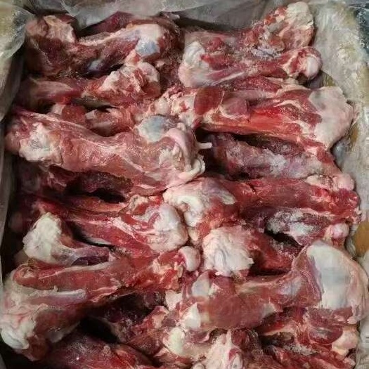 郑州羊骨 羊棒骨，带肉羊棒骨，适合卤炖，红烧，麻辣炖锅佳品！