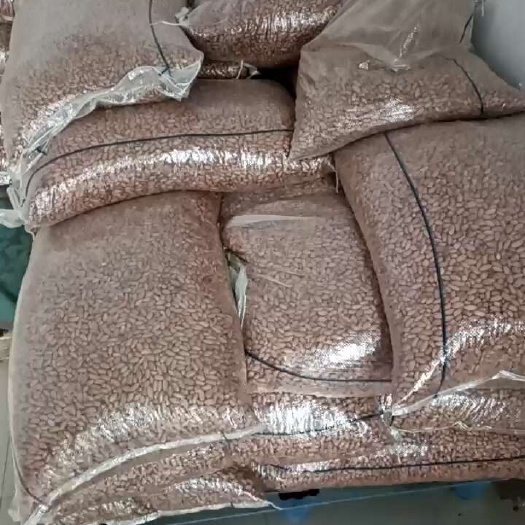 开封豫花11号花生 种子