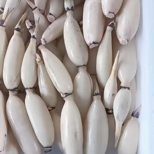 鄂州酒店专用的水果藕大量供应，生吃脆甜，入口无渣。