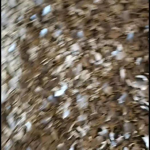 棉籽饼是经过高温消毒挤压而成，果树蔬菜瓜果都能用