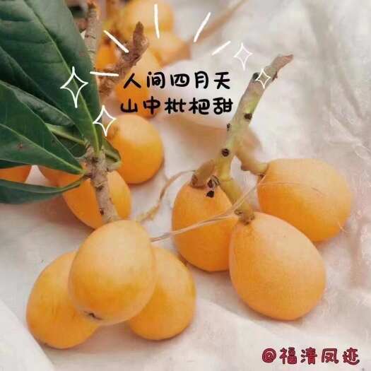 福清市枇杷开售！！！自家种植“”早春第一果”❌拒绝膨大剂