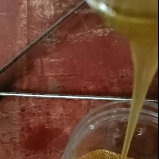 辰溪县高山土蜂蜜