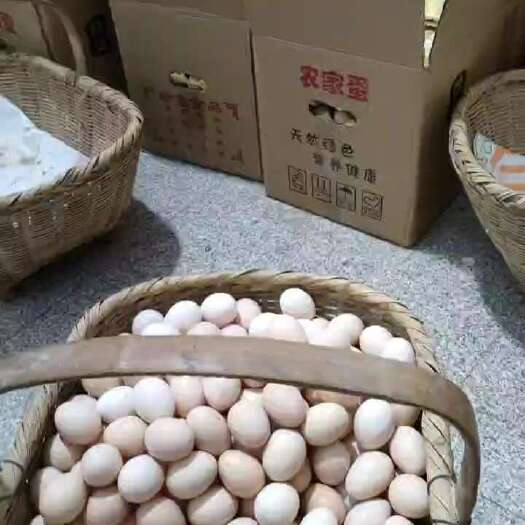 六安鸡.鸡蛋