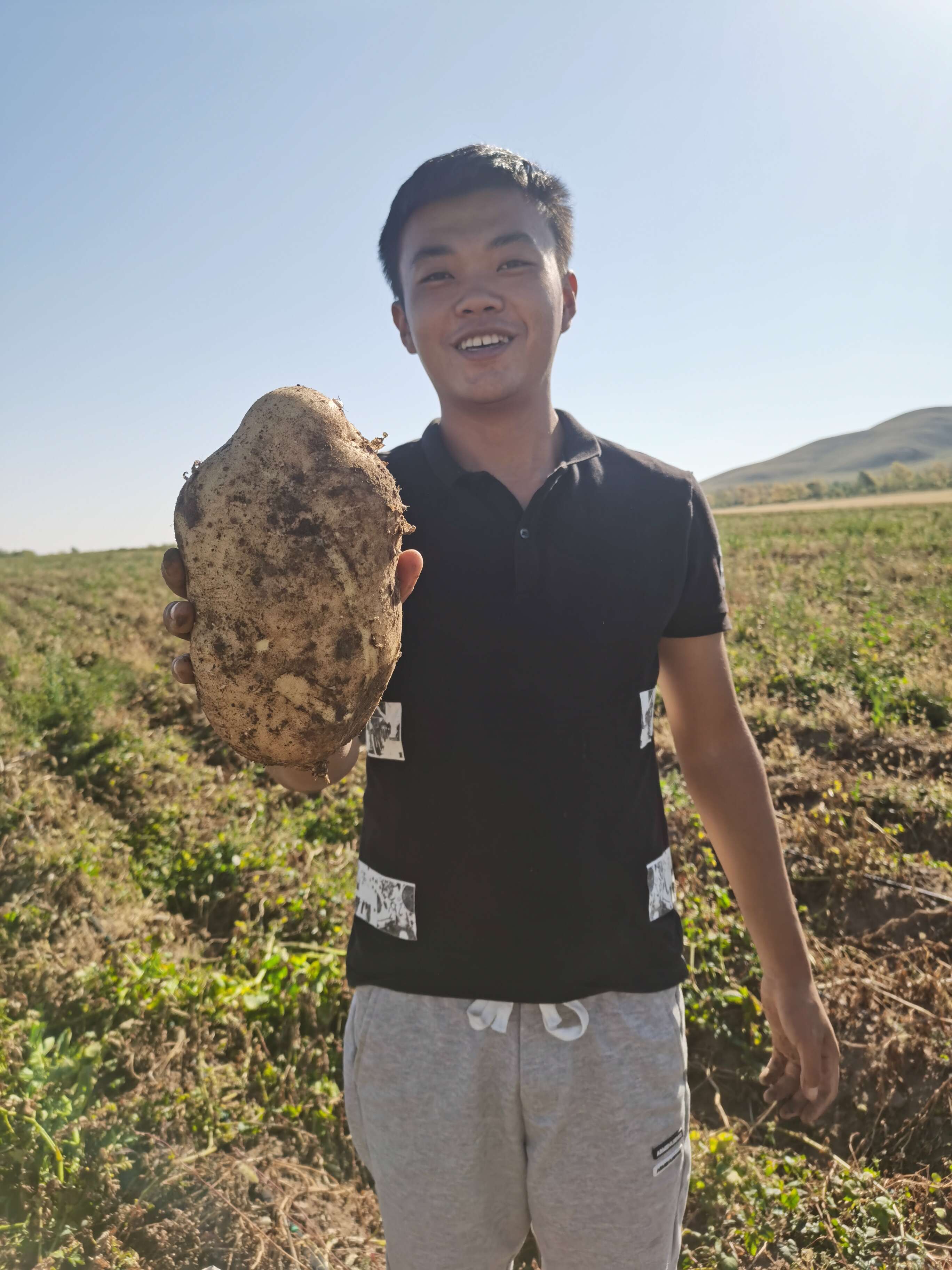 菏澤蔬菜購銷中心