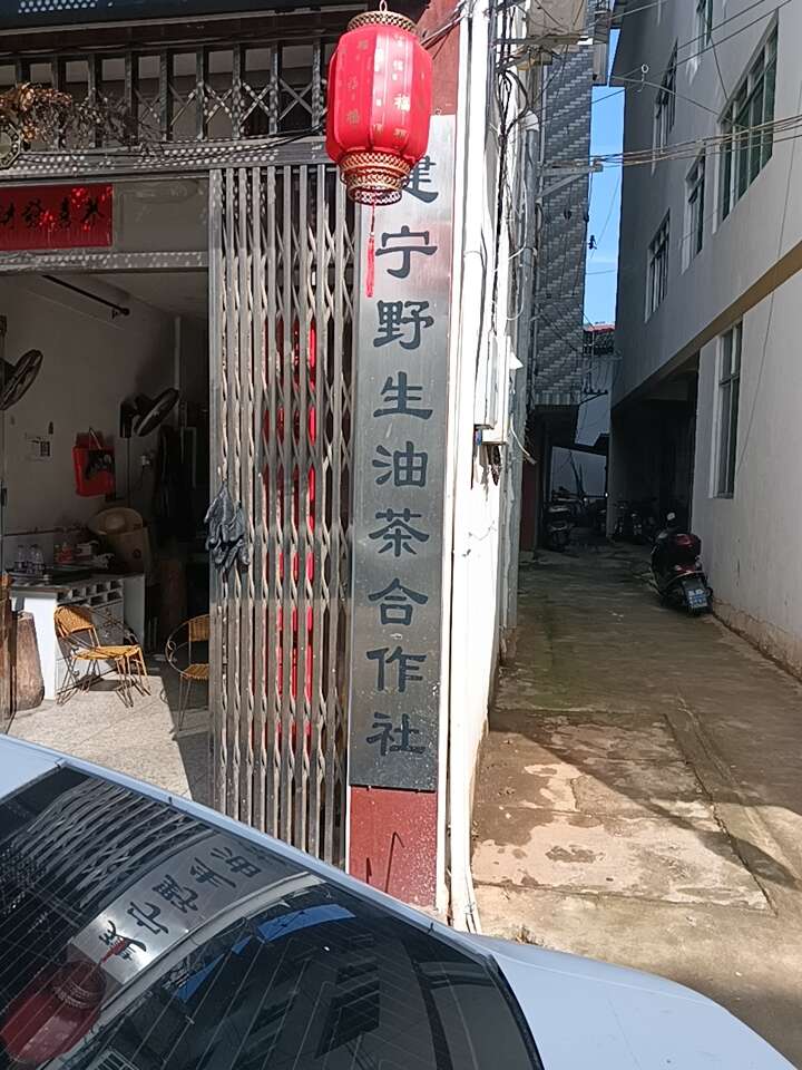 小禮油茶合作社