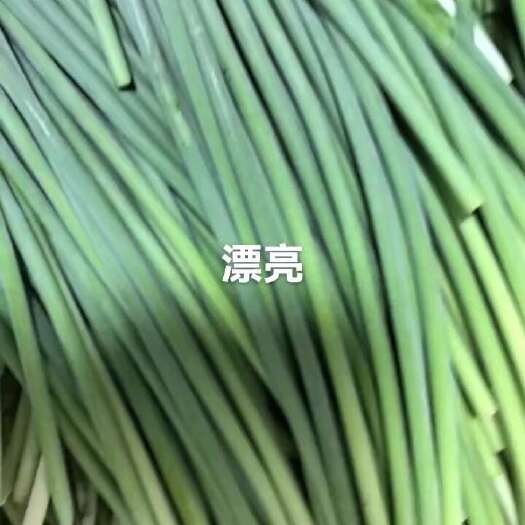 邯郸蒜薹
