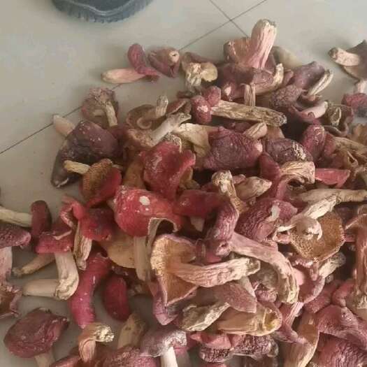 随县红菇
