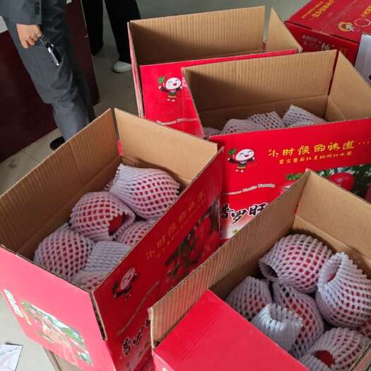 泾阳县普罗旺斯水果西红柿
