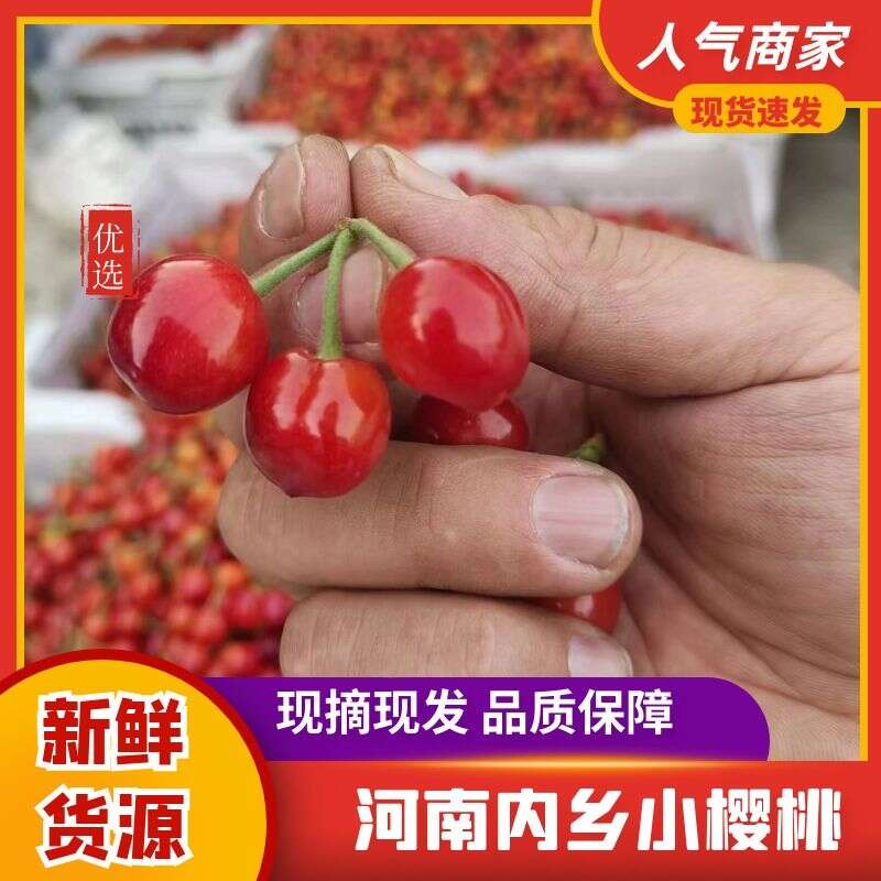 西峡县樱桃/ 露天早熟小樱桃夕阳红/玛瑙红樱桃产地源头直发一手货源