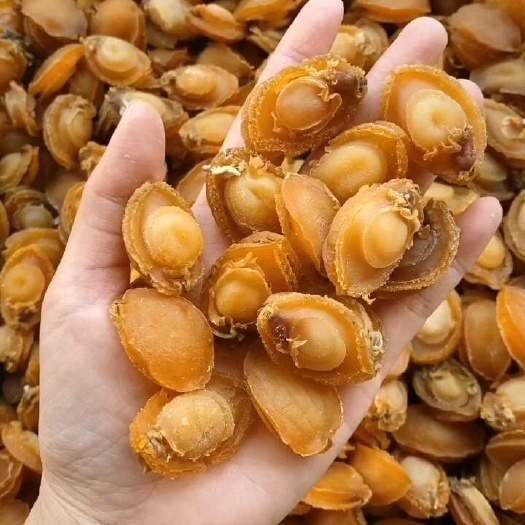 c厂100头大连鲍鱼，没有破边，形状完整