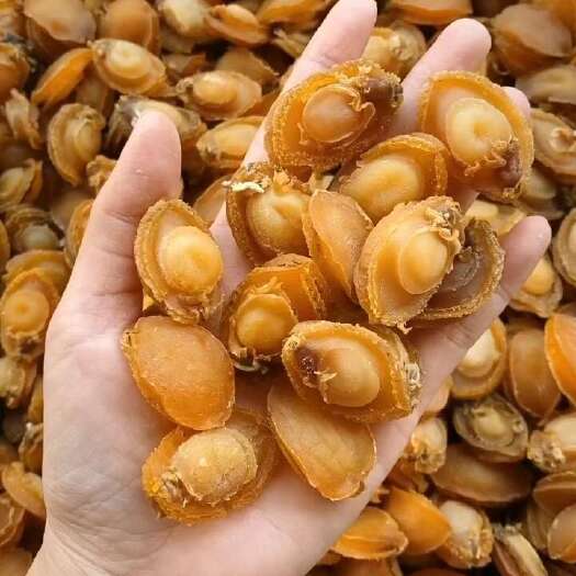 湛江c厂100头大连鲍鱼，没有破边，形状完整