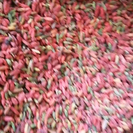 中宁县红绿花枸杞！泡酒泡茶配其它补品吃！长白山野生果