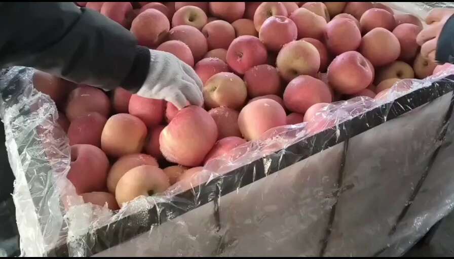 红富士苹果