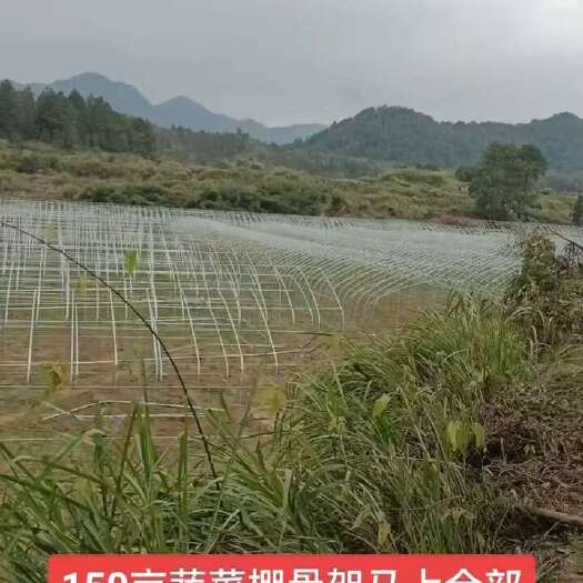沭阳县温室大棚