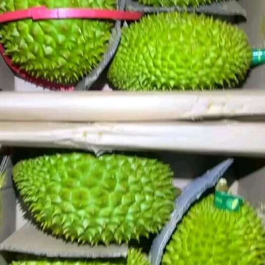 南宁干尧榴莲