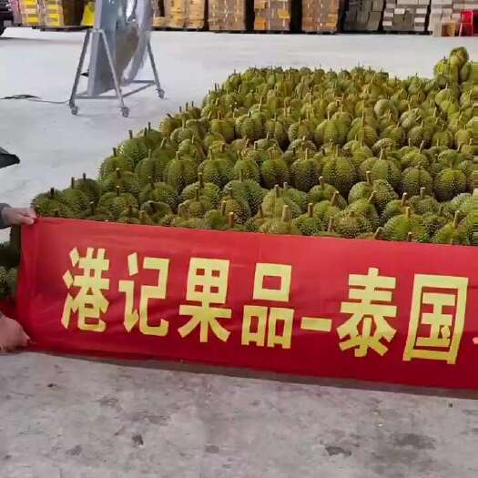 泰国金枕工厂直达东北